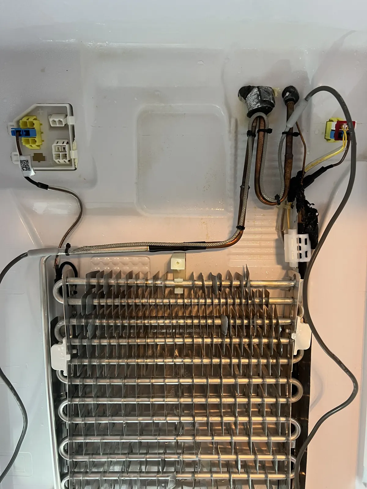 Clean freezer coil after a completed defrost repair
